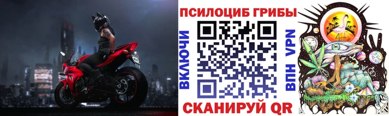Галлюциногенные грибы Psilocybe  Ивангород 